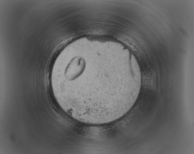 X0000116550302200912241600