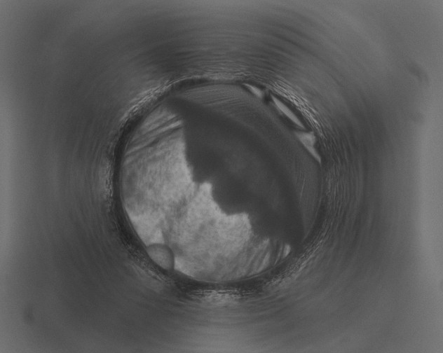 X0000116550303200912241600