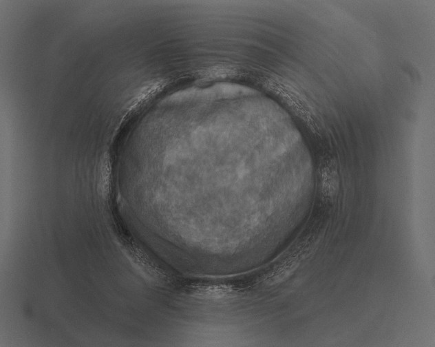 X0000116550304200912241600