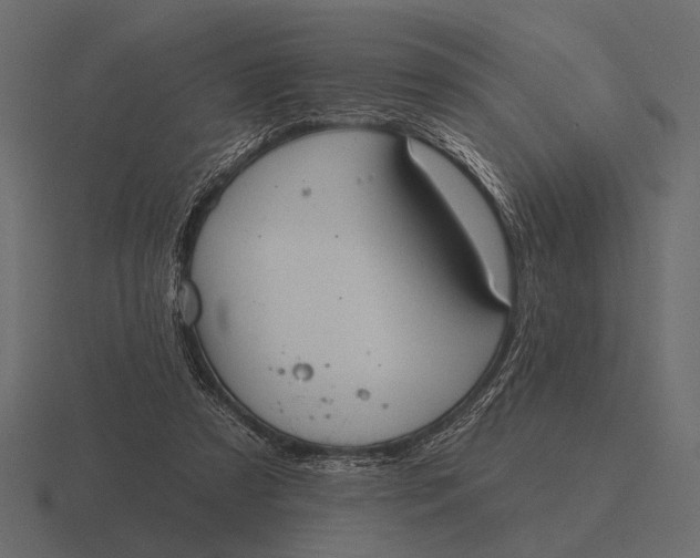 X0000116550305200912241600