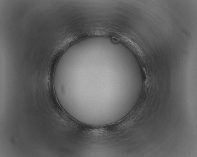 X0000116550306200912241600