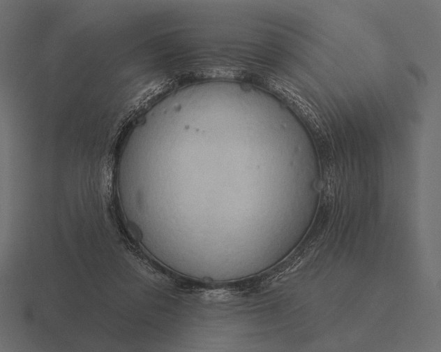 X0000116550309200912241600