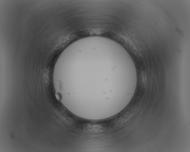 X0000116550311200912241600