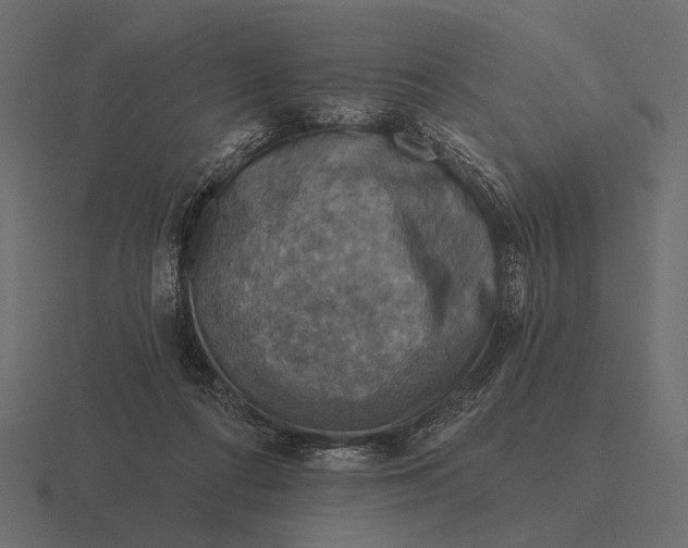 X0000116550312200912241600