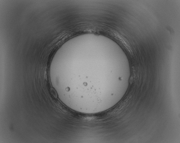 X0000116550313200912241600