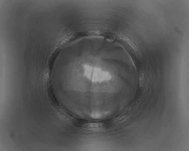 X0000116550314200912241600