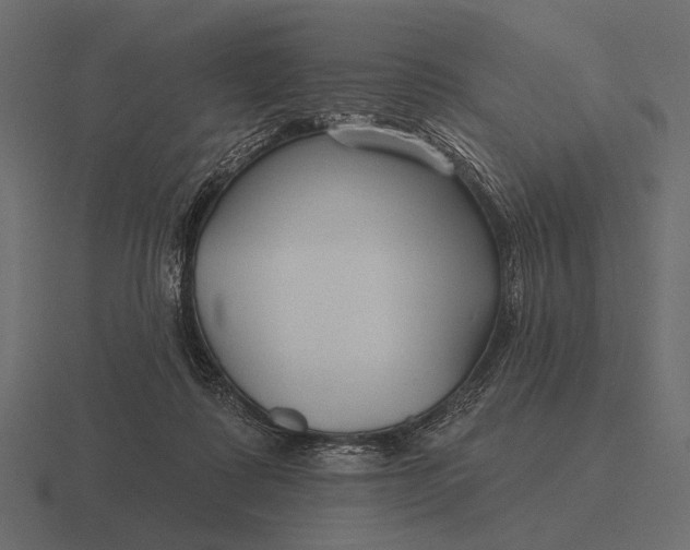 X0000116550315200912241600