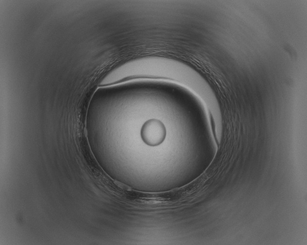 X0000116550316200912241600