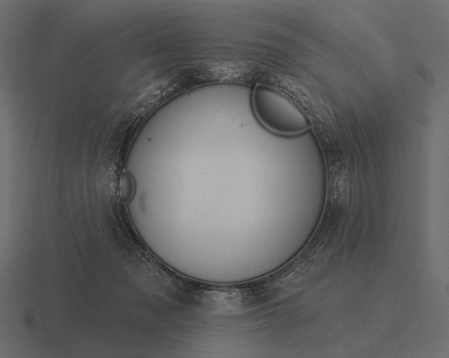 X0000116550317200912241600