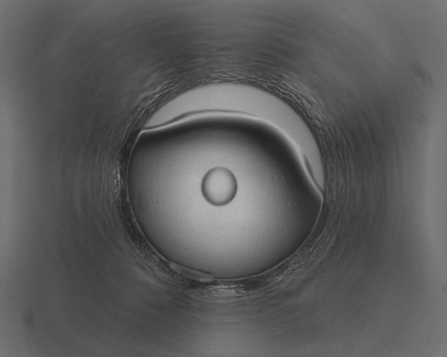 X0000116550320200912241600