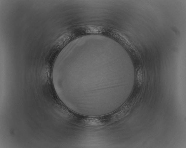 X0000116550322200912241600