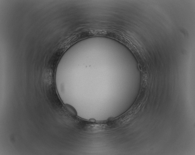 X0000116550323200912241600