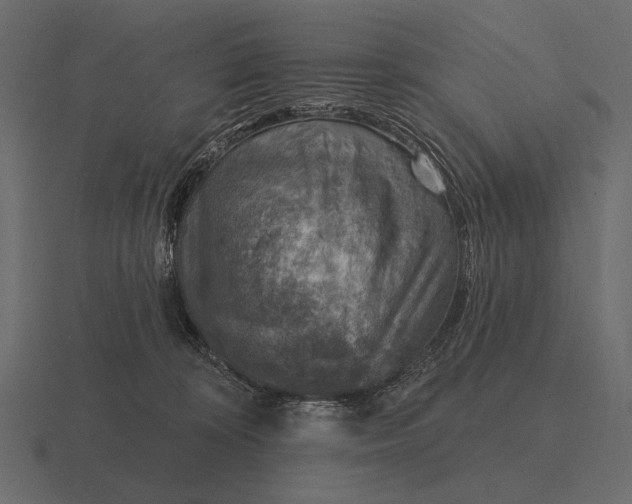 X0000116550324200912241600