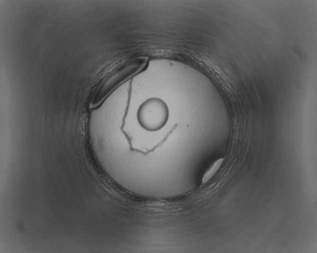 X0000116550325200912241600