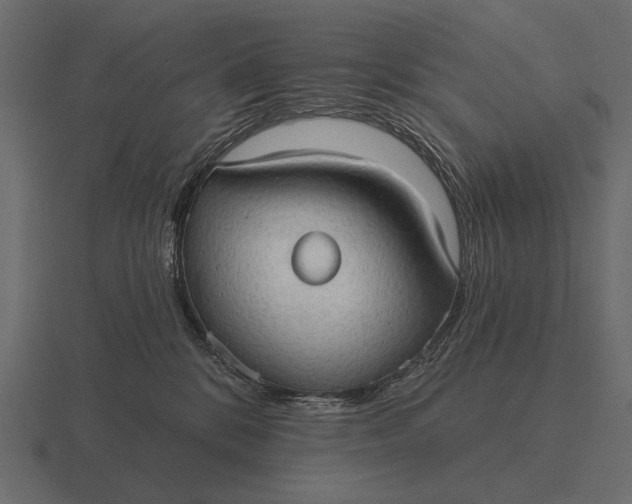 X0000116550328200912241600