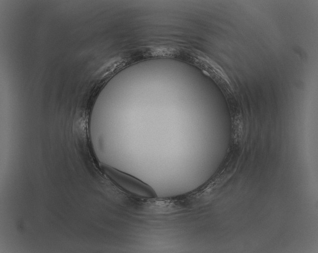 X0000116550329200912241600