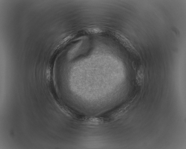 X0000116550330200912241600