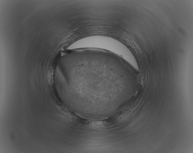 X0000116550332200912241600