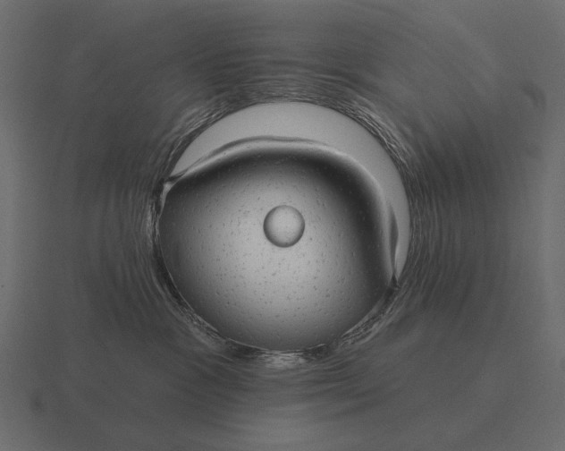 X0000116550333200912241600