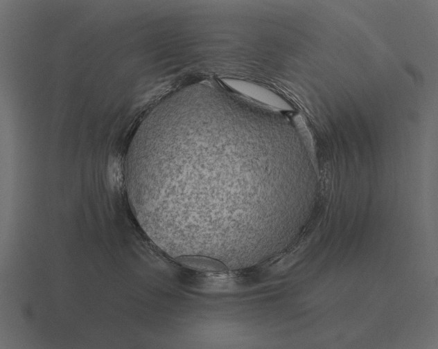 X0000116550335200912241600