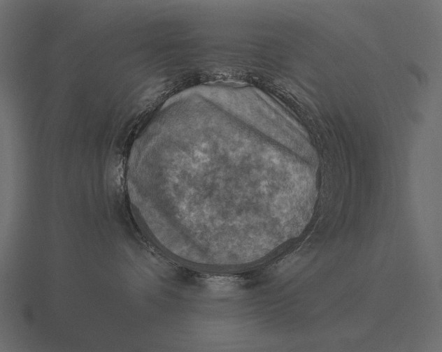 X0000116550336200912241600