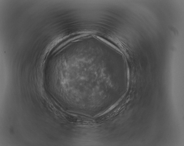 X0000116550337200912241559