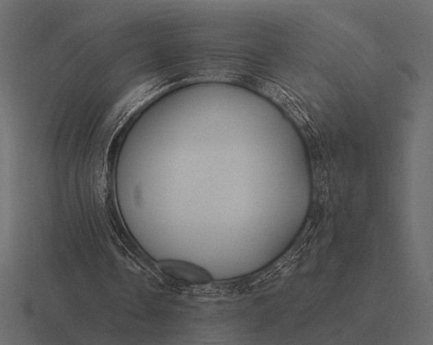 X0000116550338200912241559