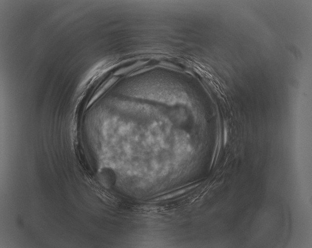 X0000116550339200912241559