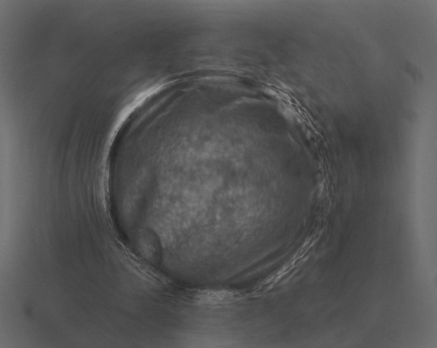 X0000116550342200912241559