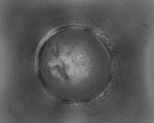 X0000116550343200912241559