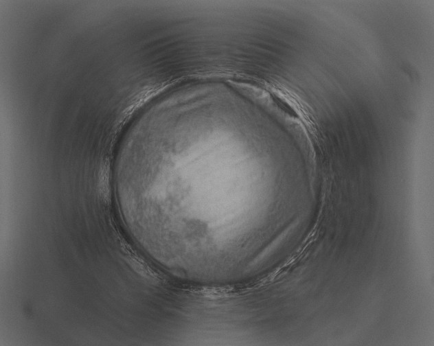 X0000116550345200912241559