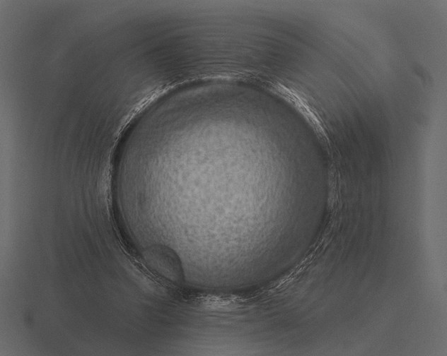 X0000116550346200912241559