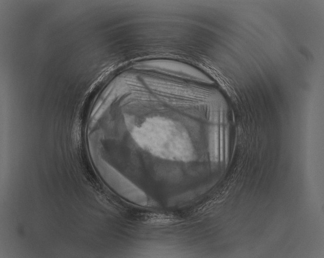 X0000116550347200912241559