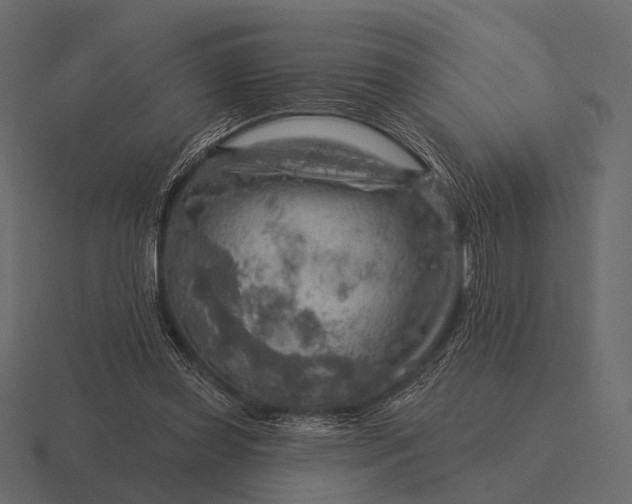 X0000116550349200912241600