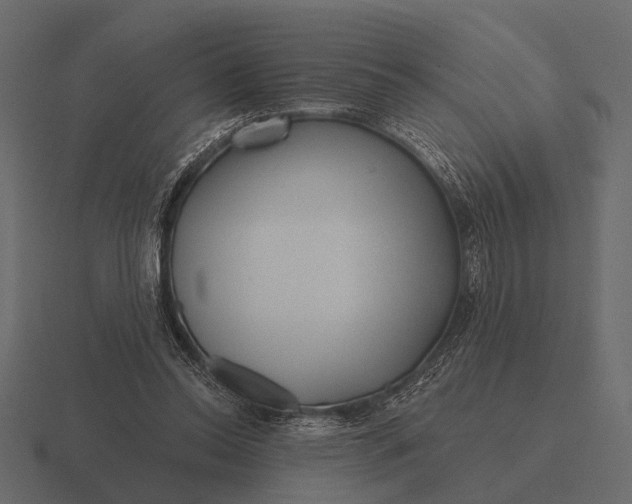 X0000116550350200912241600