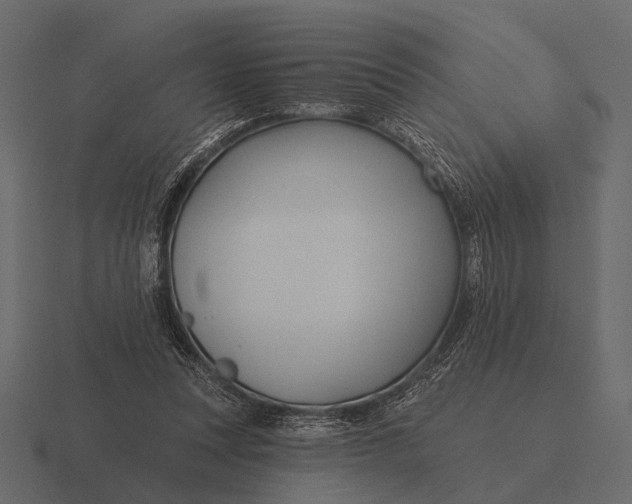 X0000116550351200912241600