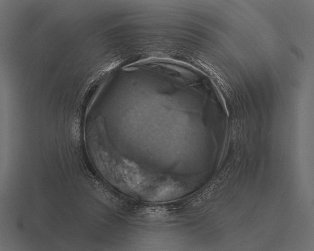 X0000116550353200912241600