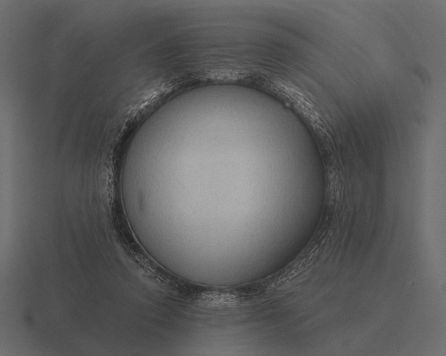 X0000116550354200912241600