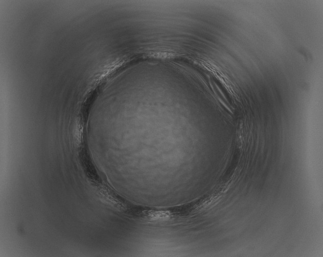 X0000116550355200912241600