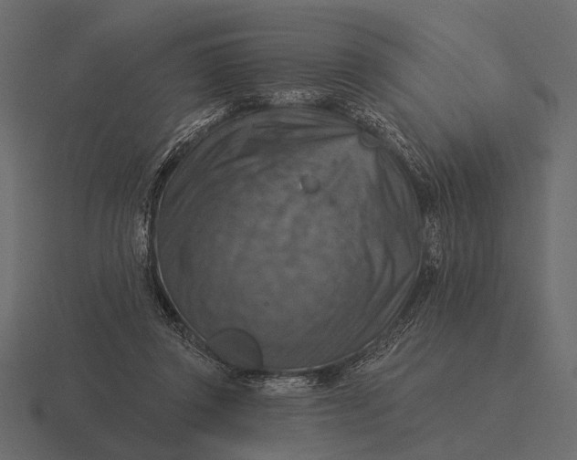 X0000116550357200912241600