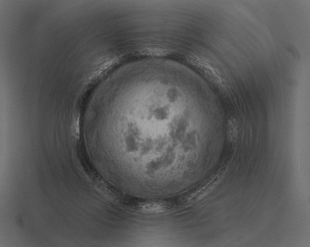 X0000116550358200912241600