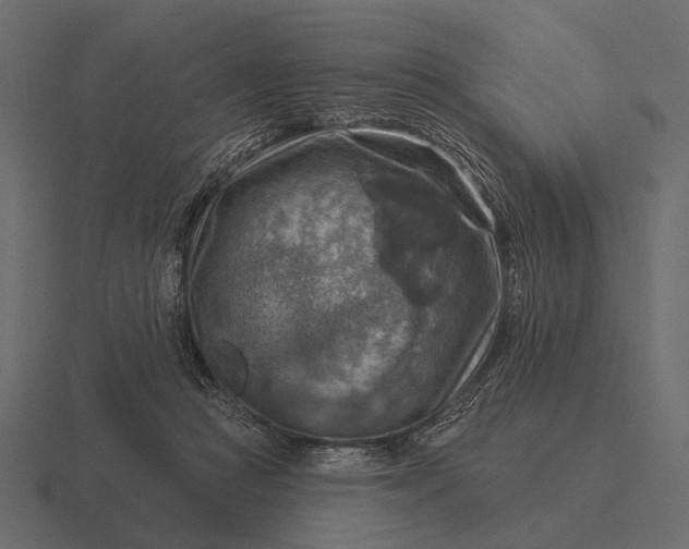 X0000116550361200912241600