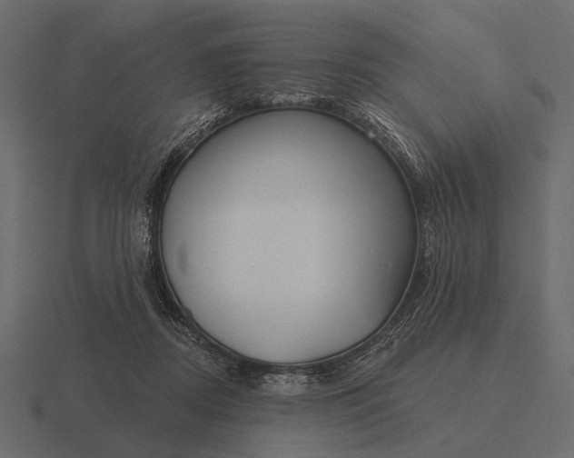 X0000116550362200912241600