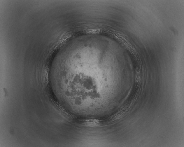 X0000116550363200912241600