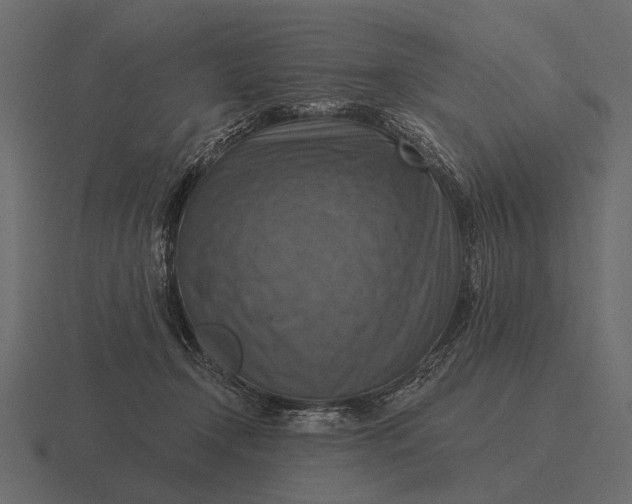 X0000116550366200912241600