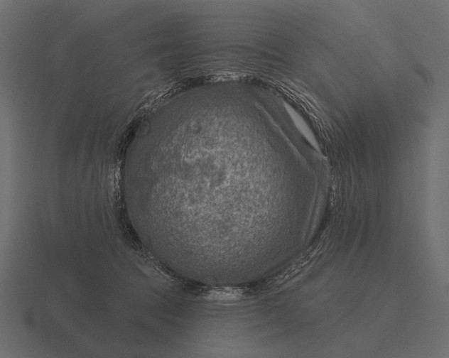 X0000116550369200912241600