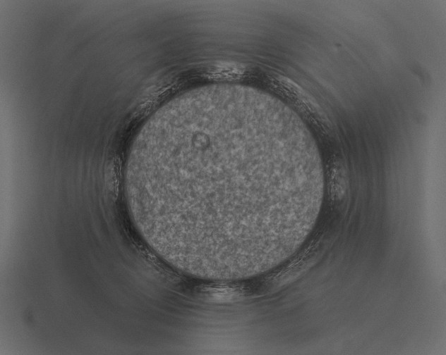 X0000116550370200912241600