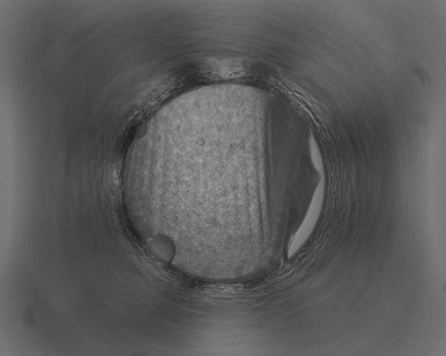 X0000116550373200912241600