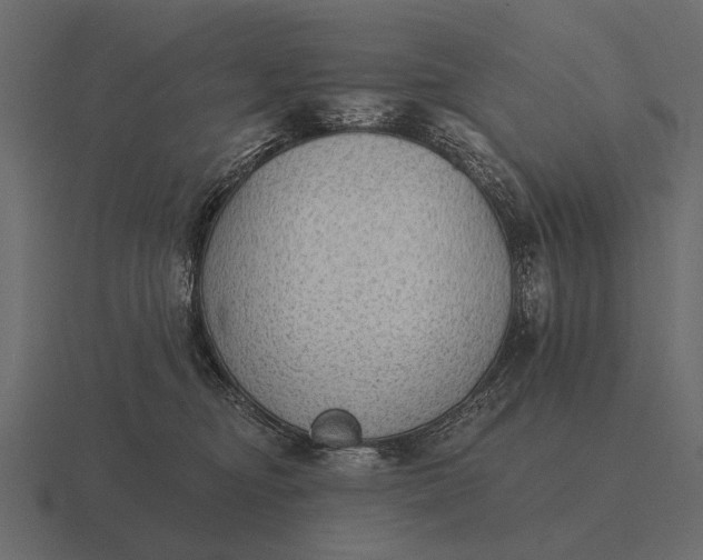 X0000116550374200912241600