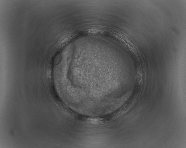 X0000116550375200912241600